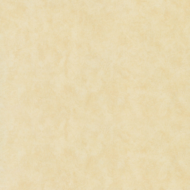 Umweltfreundlicher, verschleißfester, heterogener Bodenbelag