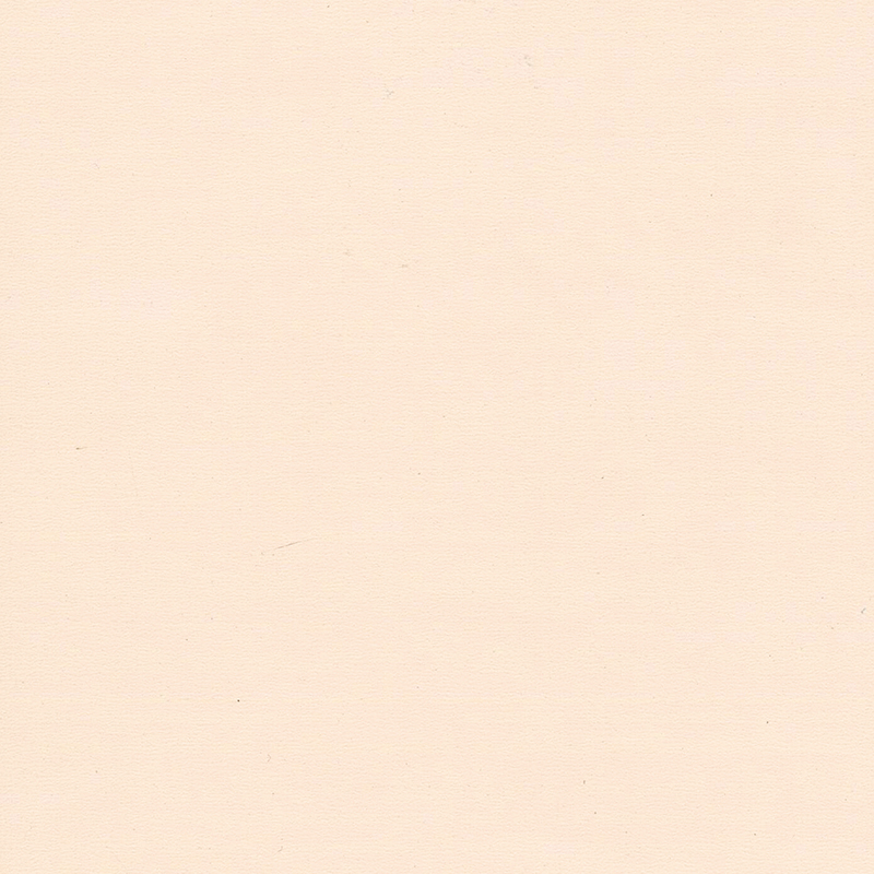 Hochwertiger und einzigartiger farbhomogener Bodenbelag