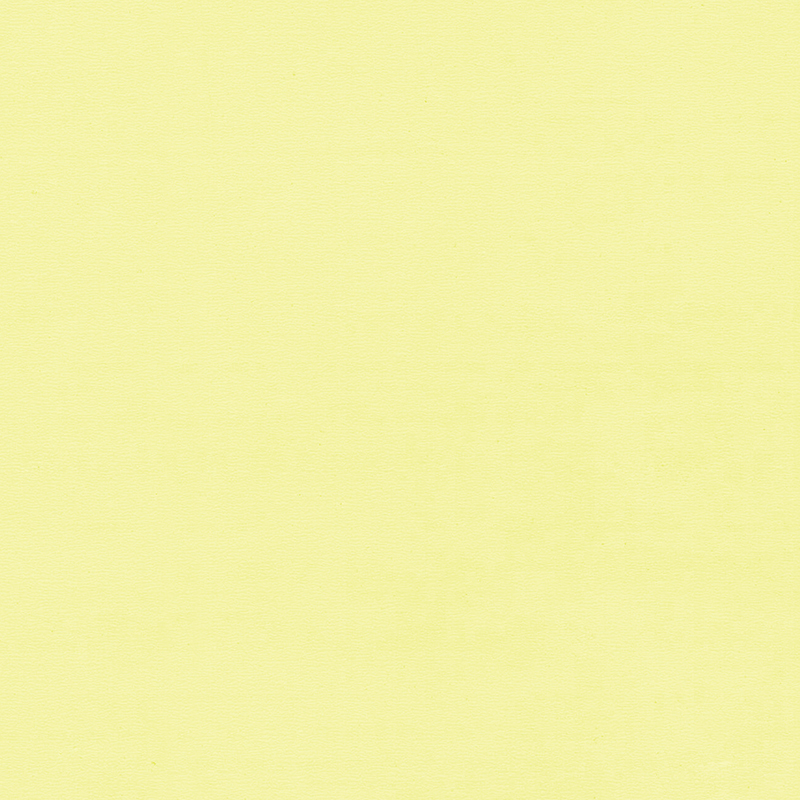 Hochwertiger und einzigartiger farbhomogener Bodenbelag