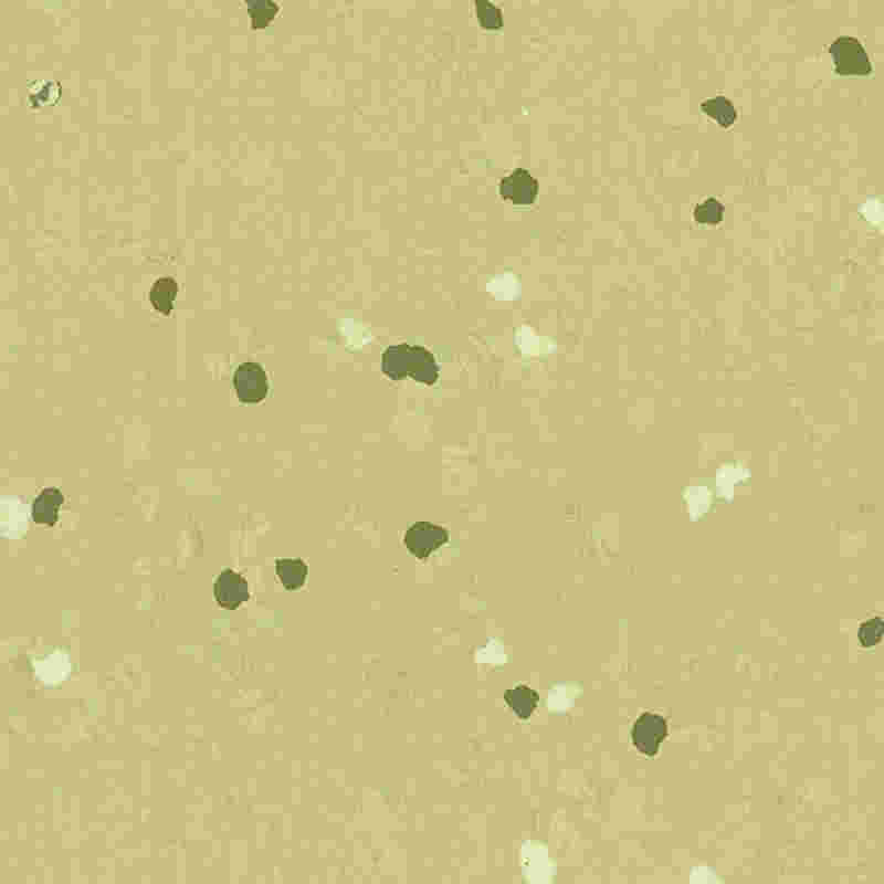 Kratzfester und hochelastischer Gummiboden