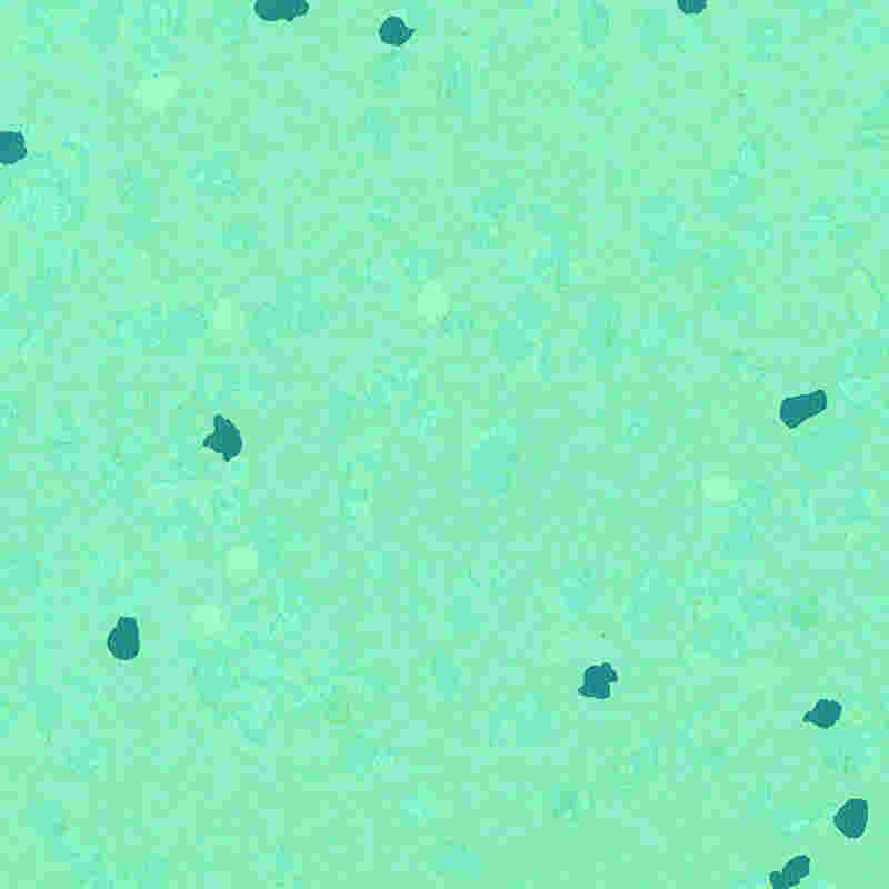 Kratzfester und hochelastischer Gummiboden