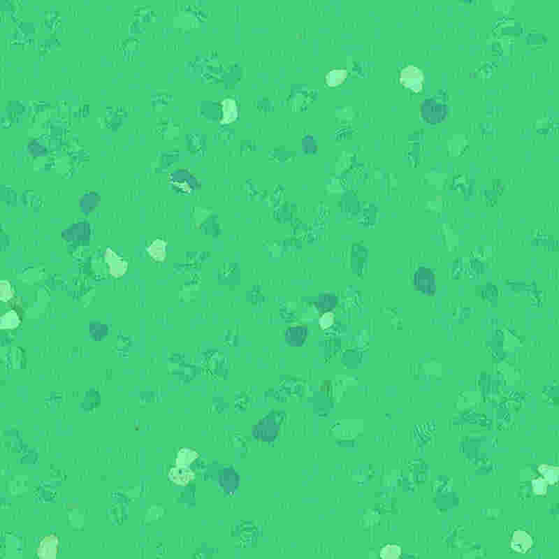 Kratzfester und hochelastischer Gummiboden