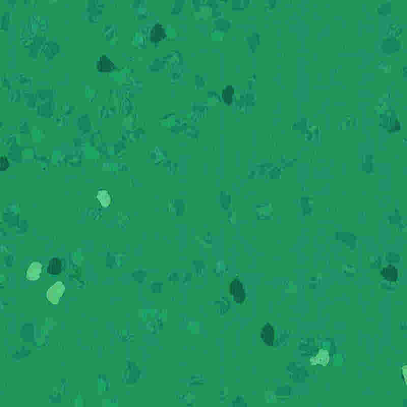 Kratzfester und hochelastischer Gummiboden