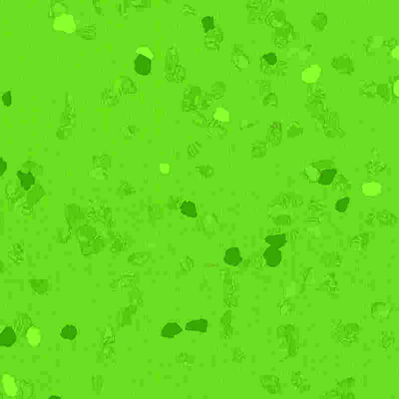 Kratzfester und hochelastischer Gummiboden