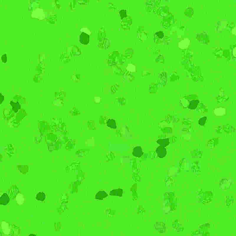 Kratzfester und hochelastischer Gummiboden