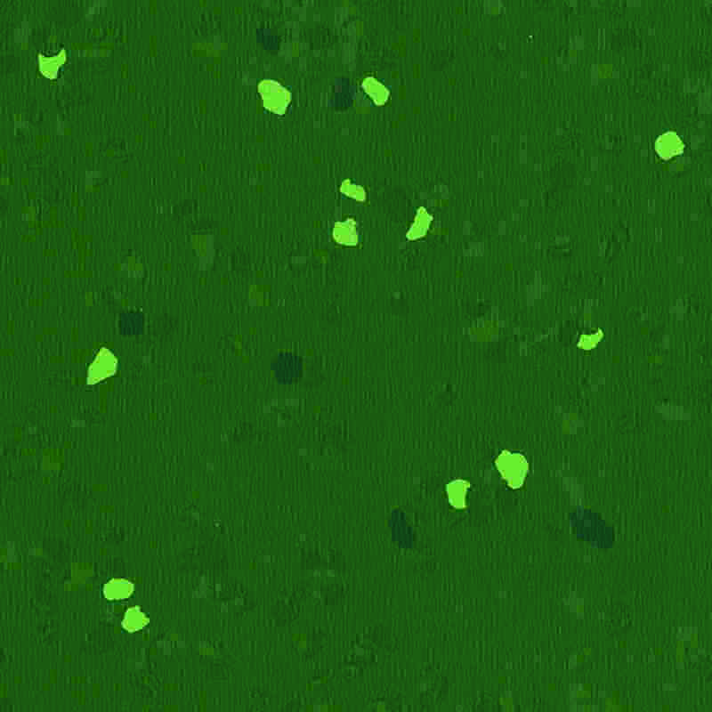 Kratzfester und hochelastischer Gummiboden