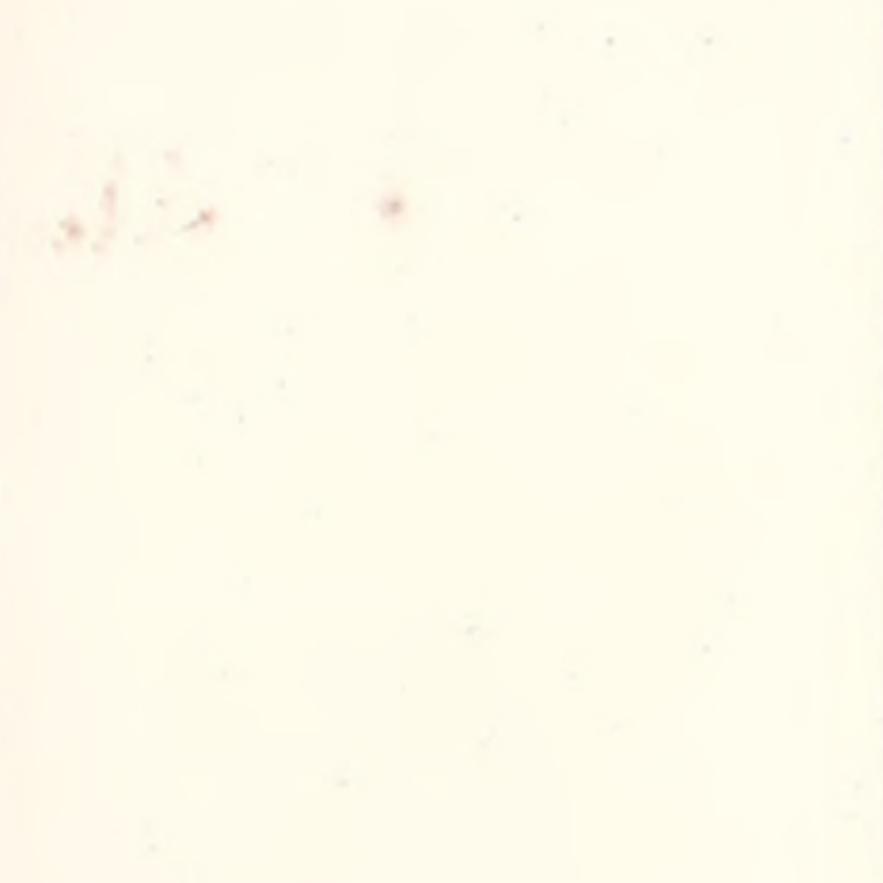 Hohe Anpassungsfähigkeit und nahtloser Gummibodenbelag