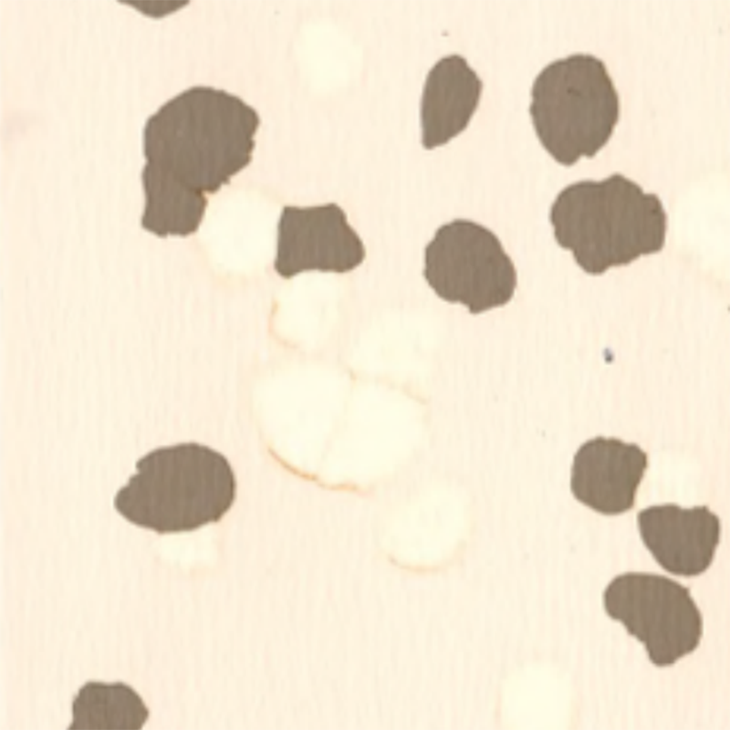 Rutschfester und kratzfester Gummiboden